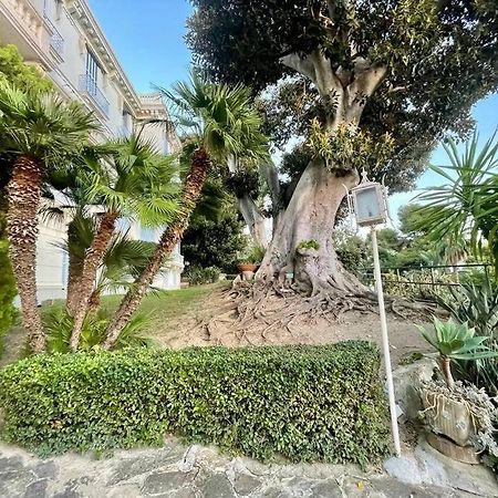 Suite Cavalieri Di Rodi 6 - Ospedaletti Εξωτερικό φωτογραφία