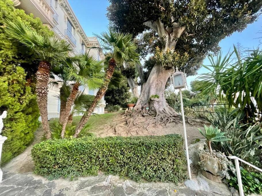 Suite Cavalieri Di Rodi 6 - Ospedaletti Εξωτερικό φωτογραφία