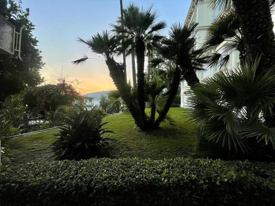 Suite Cavalieri Di Rodi 6 - Ospedaletti Εξωτερικό φωτογραφία